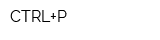 CTRL+P
