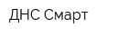 ДНС Смарт