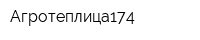 Агротеплица174