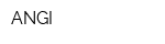 ANGI