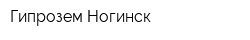 Гипрозем-Ногинск