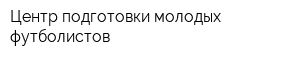 Центр подготовки молодых футболистов
