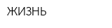 ЖИЗНЬ