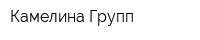 Камелина Групп