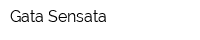 Gata Sensata