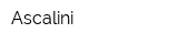 Ascalini