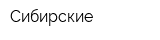 Сибирские