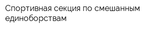 Спортивная секция по смешанным единоборствам