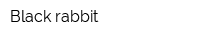 Black rabbit