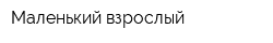Маленький взрослый