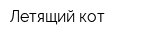 Летящий кот