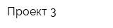 Проект 3