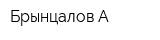 Брынцалов А