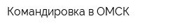 Командировка в ОМСК