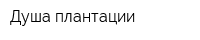Душа плантации