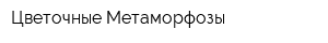Цветочные Метаморфозы