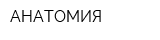 АНАТОМИЯ
