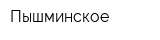 Пышминское