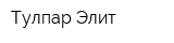 Тулпар Элит