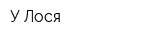 У Лося