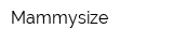 Mammysize