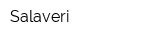 Salaveri