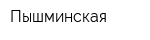Пышминская