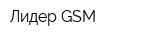 Лидер GSM