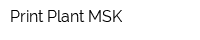 Print Plant MSK