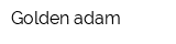 Golden-adam