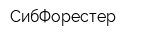 СибФорестер