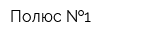 Полюс  1
