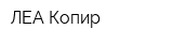 ЛЕА-Копир