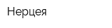 Нерцея