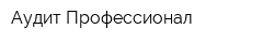 Аудит-Профессионал