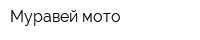 Муравей мото