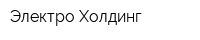 Электро-Холдинг
