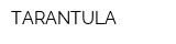 TARANTULA