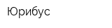 Юрибус