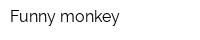Funny monkey