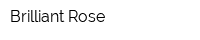 Brilliant Rose