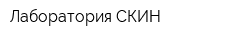 Лаборатория СКИН