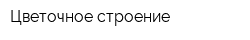 Цветочное строение