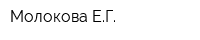 Молокова ЕГ