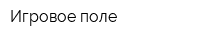 Игровое поле