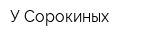 У Сорокиных