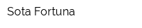 Sota Fortuna
