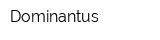 Dominantus