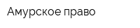 Амурское право