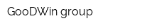 GooDWin group